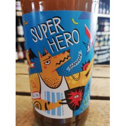 Dwóch Braci Super Hero